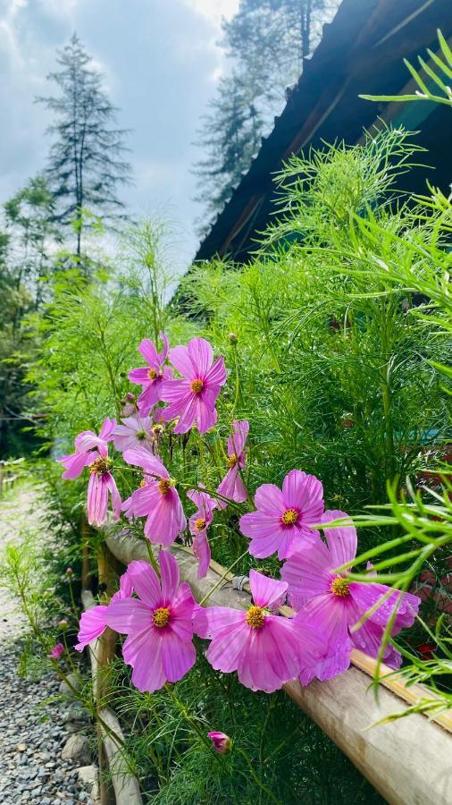 Himtrek Riverside Camps, Kasol Luaran gambar