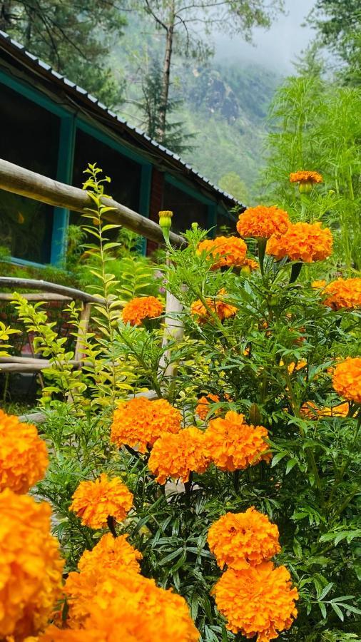 Himtrek Riverside Camps, Kasol Luaran gambar