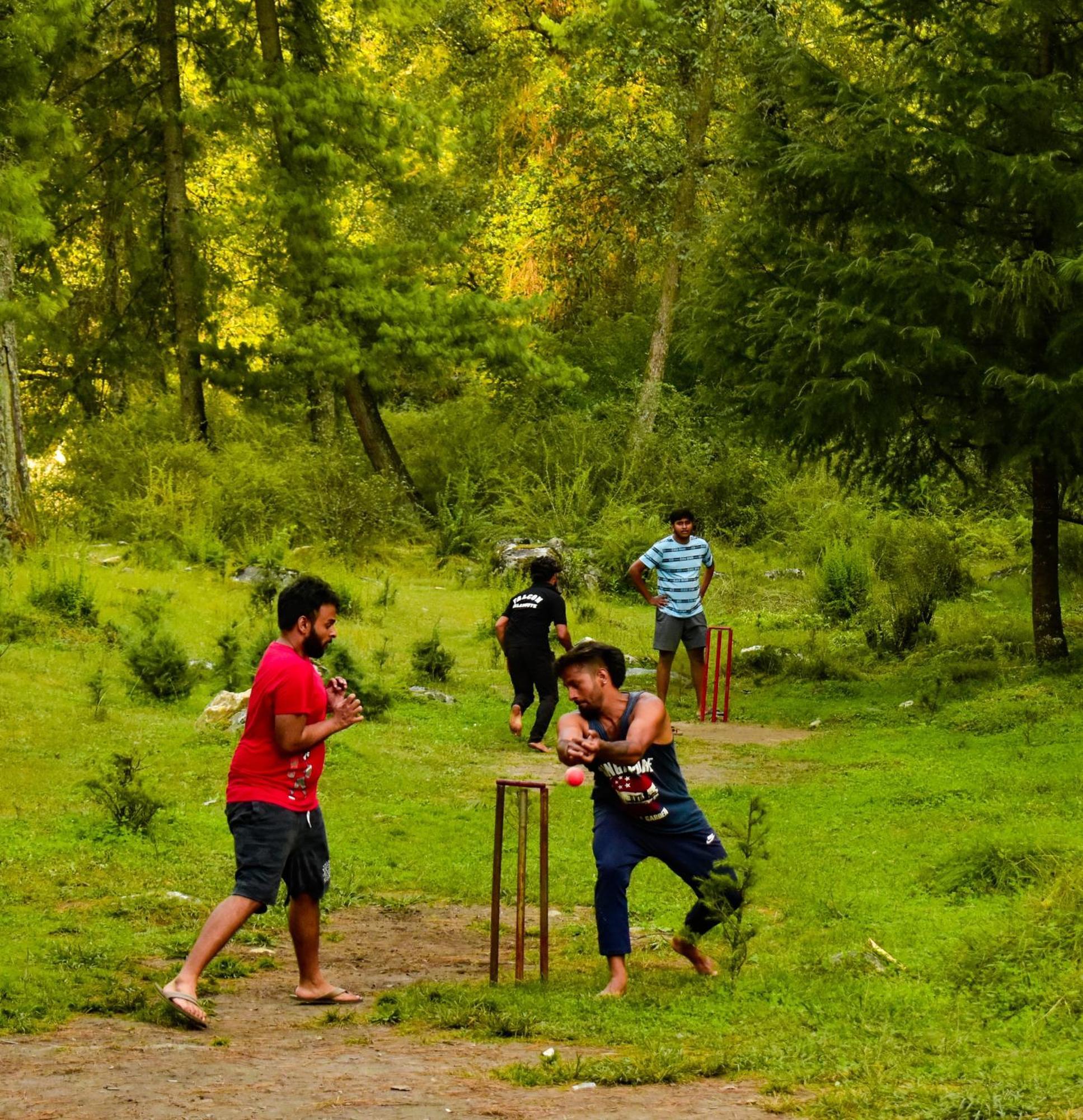 Himtrek Riverside Camps, Kasol Luaran gambar
