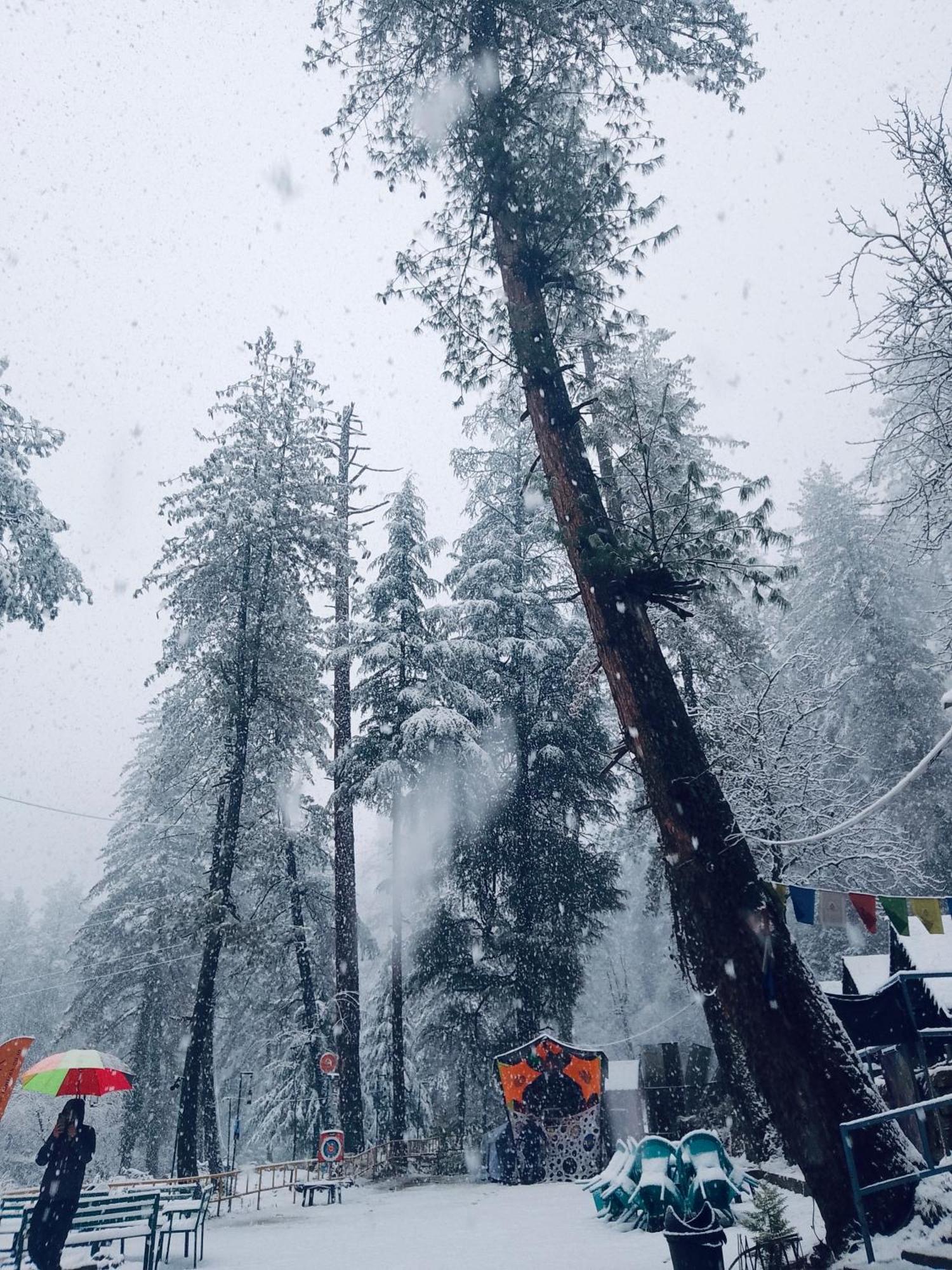 Himtrek Riverside Camps, Kasol Luaran gambar